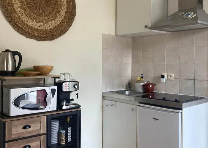 Apartman With Large Private Courtyard Boucau